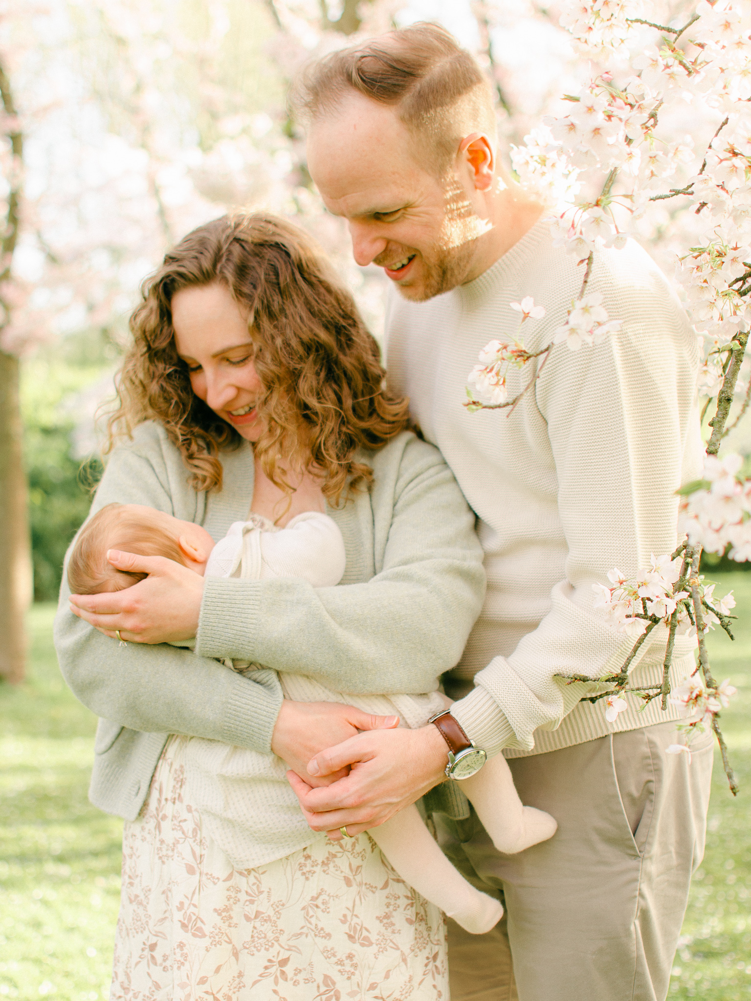 family photos amsterdam cherry blossoms
