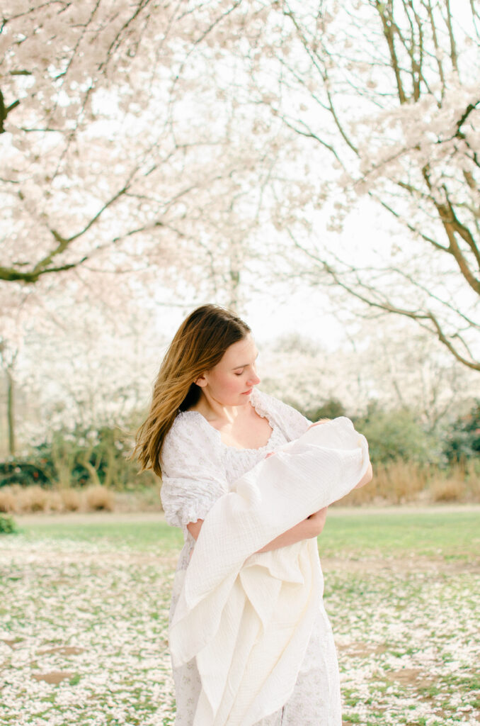 westerpark cherry blossoms spring