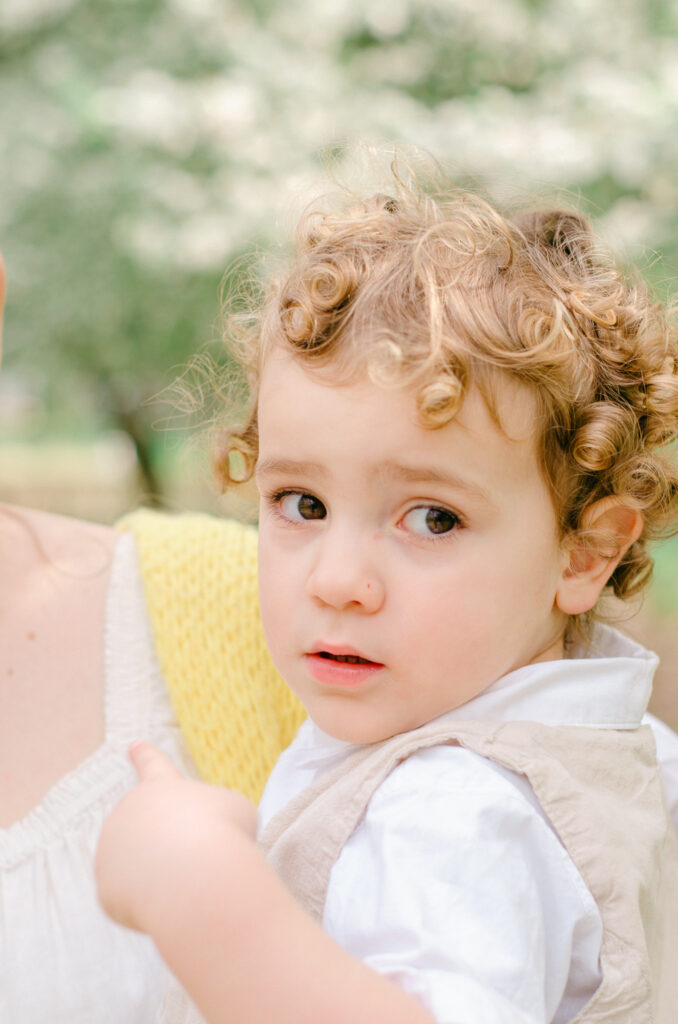Close up, detail image of a little boy with golden spiral curls.