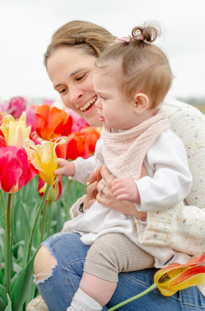 netherlands tulip fields family photos