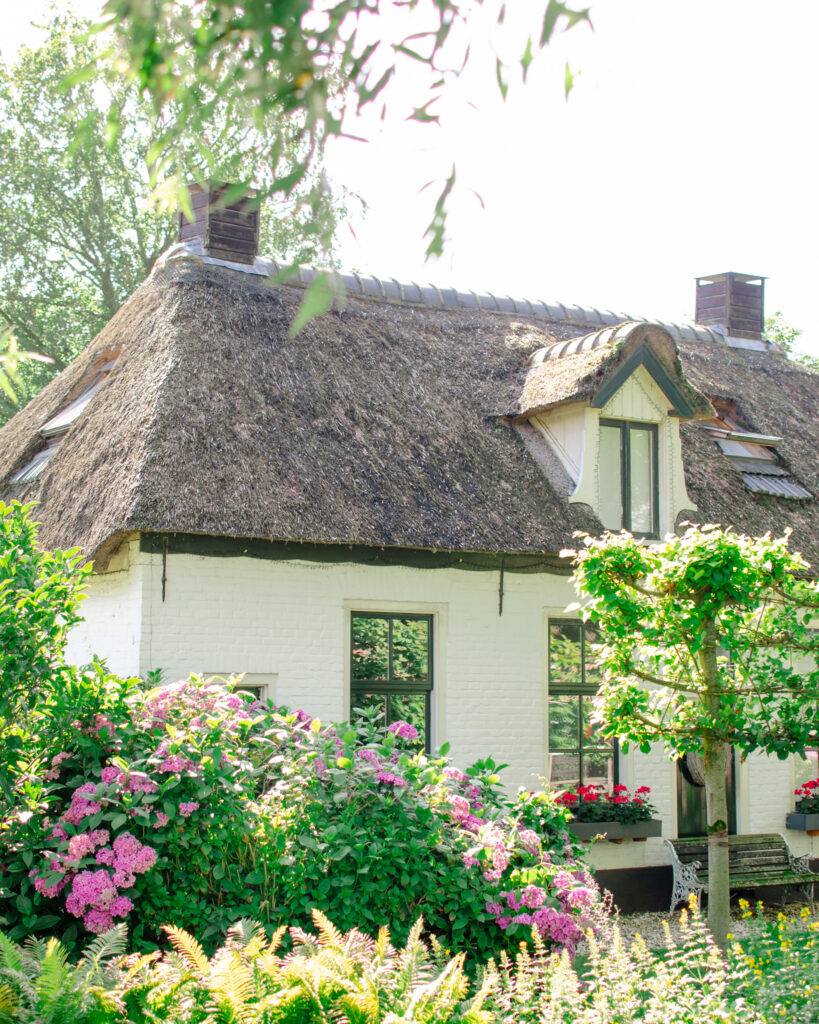 family giethoorn photography