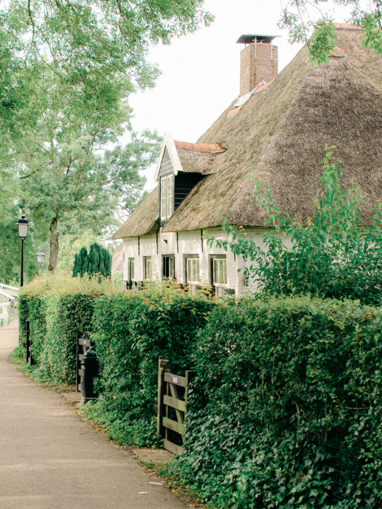 Quiet view of a white house with a thatched roof and thick bushes in Giethoorn in the summer.