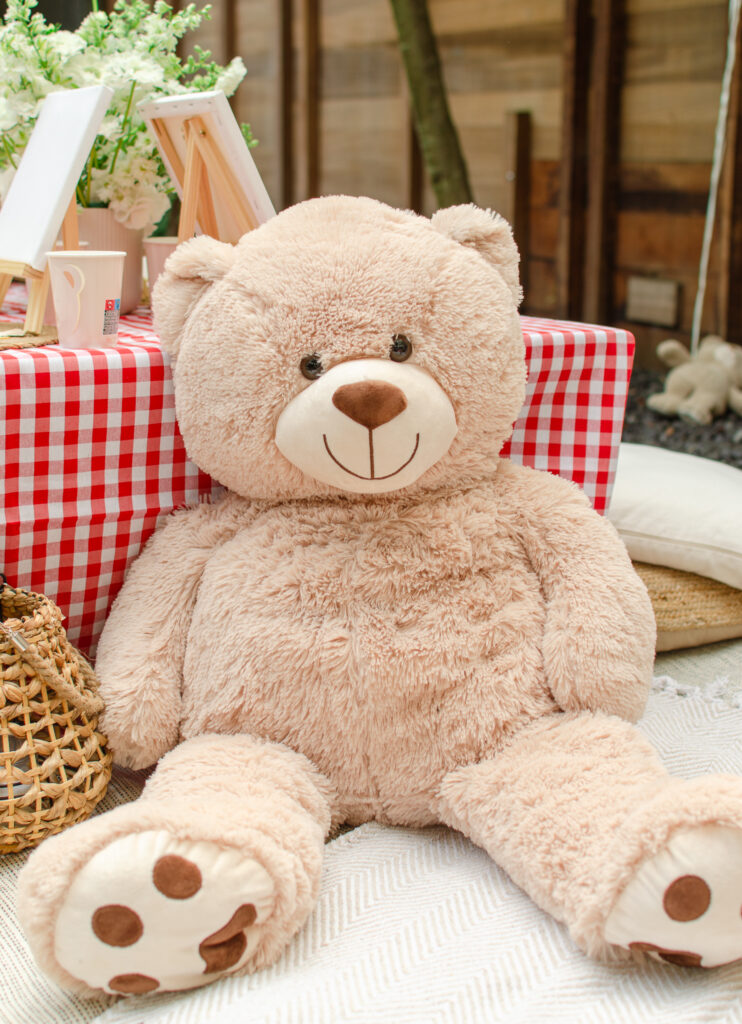 giant teddy bear brought by nori picnics