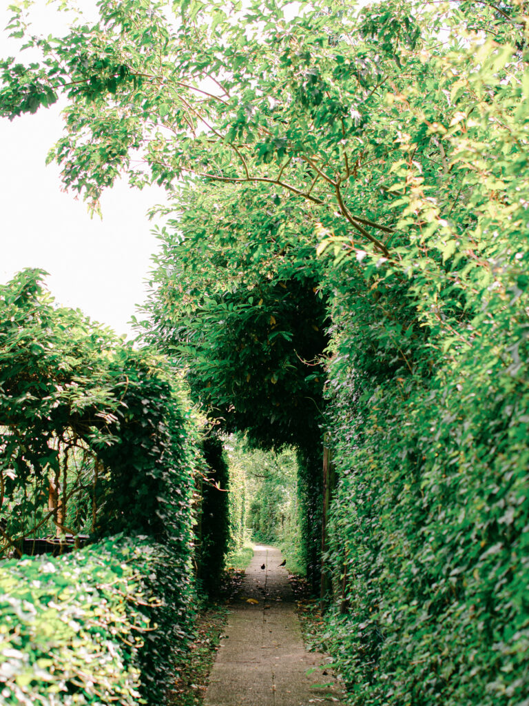 Instagram-worthy image of a secret ivy-covered tunnel in Giethoorn, Netherlands.