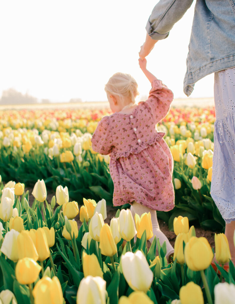 Dutch girl runs through tulip fields with her mom following behind