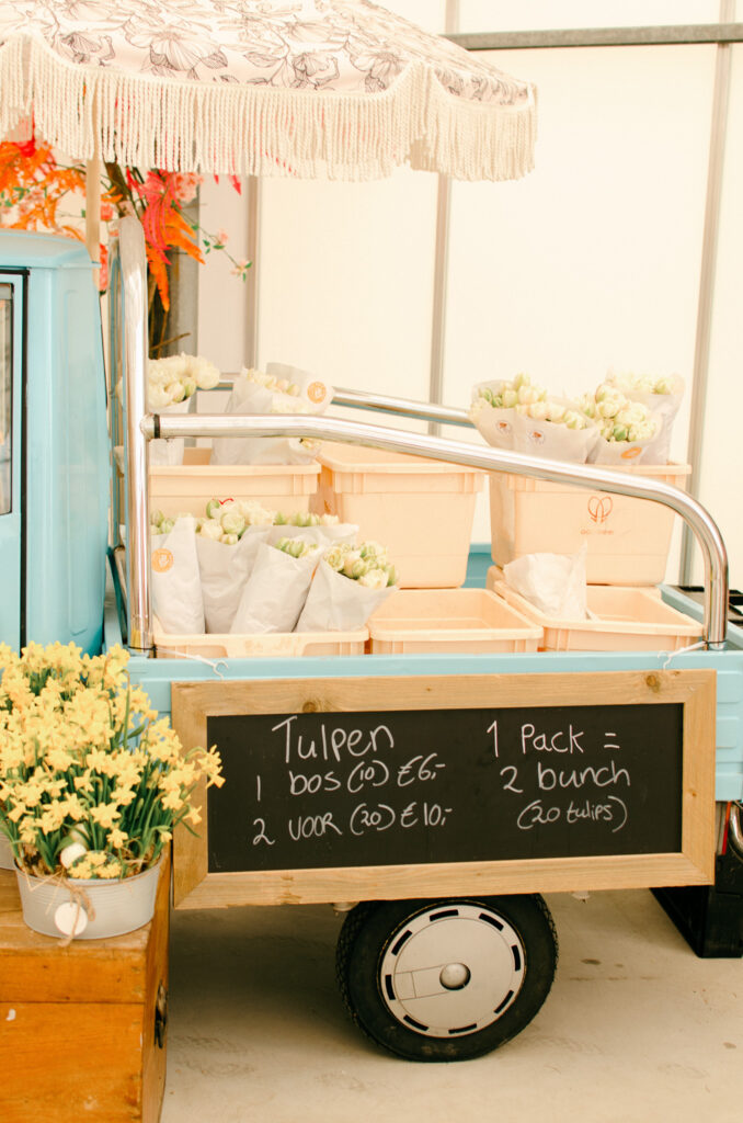 tulip display at the tulip barn