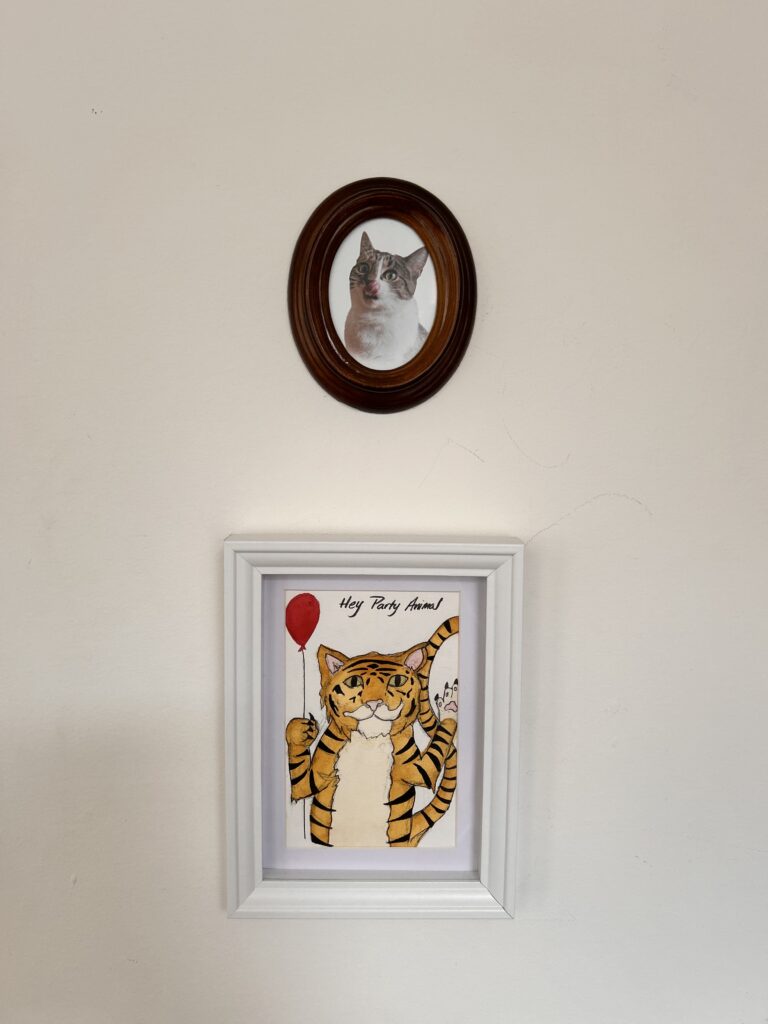 kruidvat printed photo